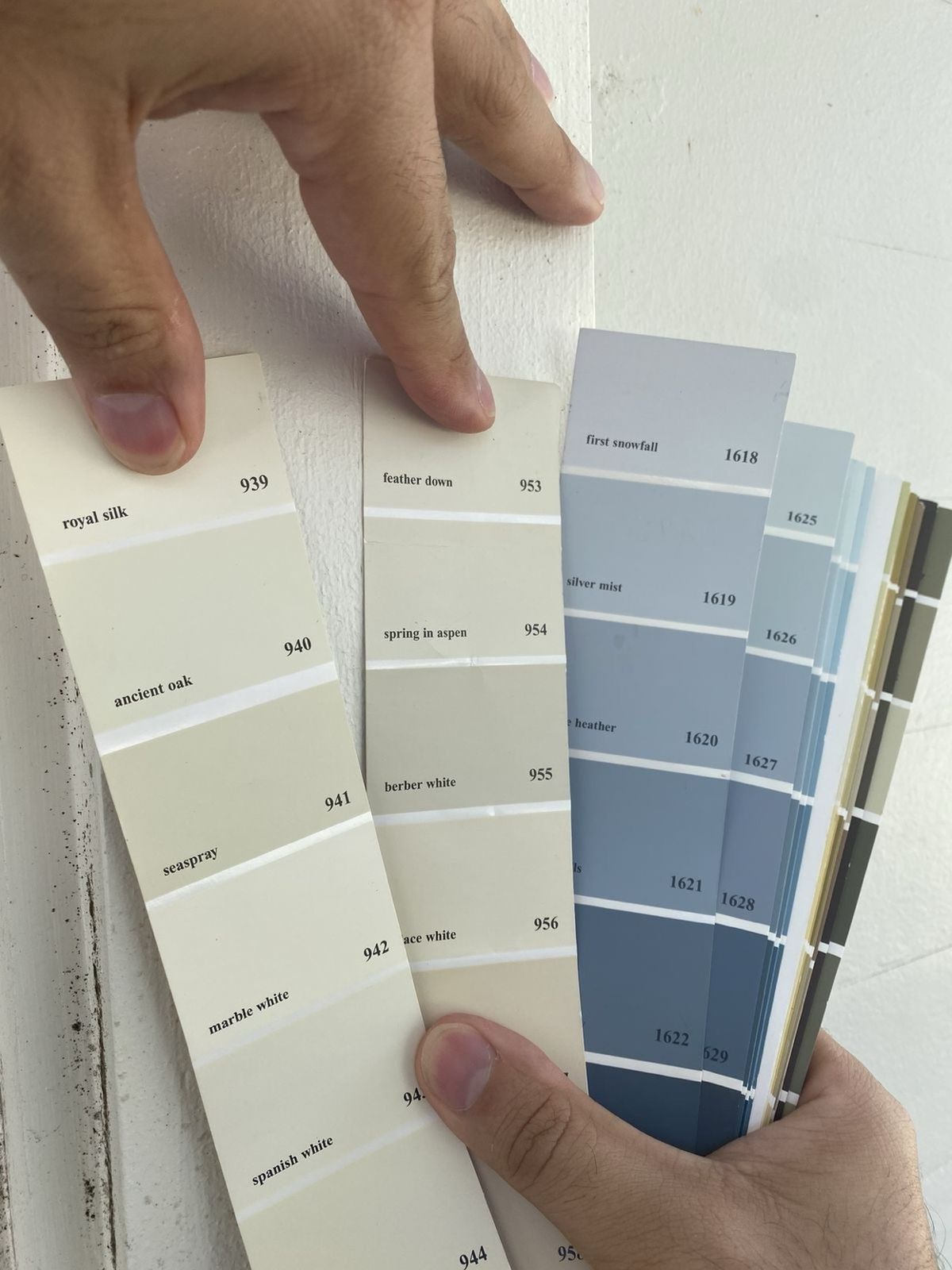 WhatsApp Image 2026-02-03 at 23.22.03